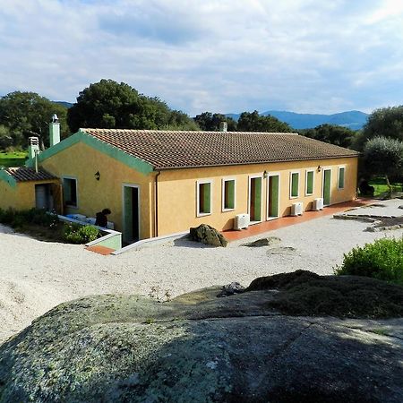 Chicchiritanos Bed & Breakfast Monti Екстериор снимка
