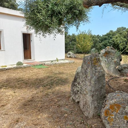 Chicchiritanos Bed & Breakfast Monti Екстериор снимка