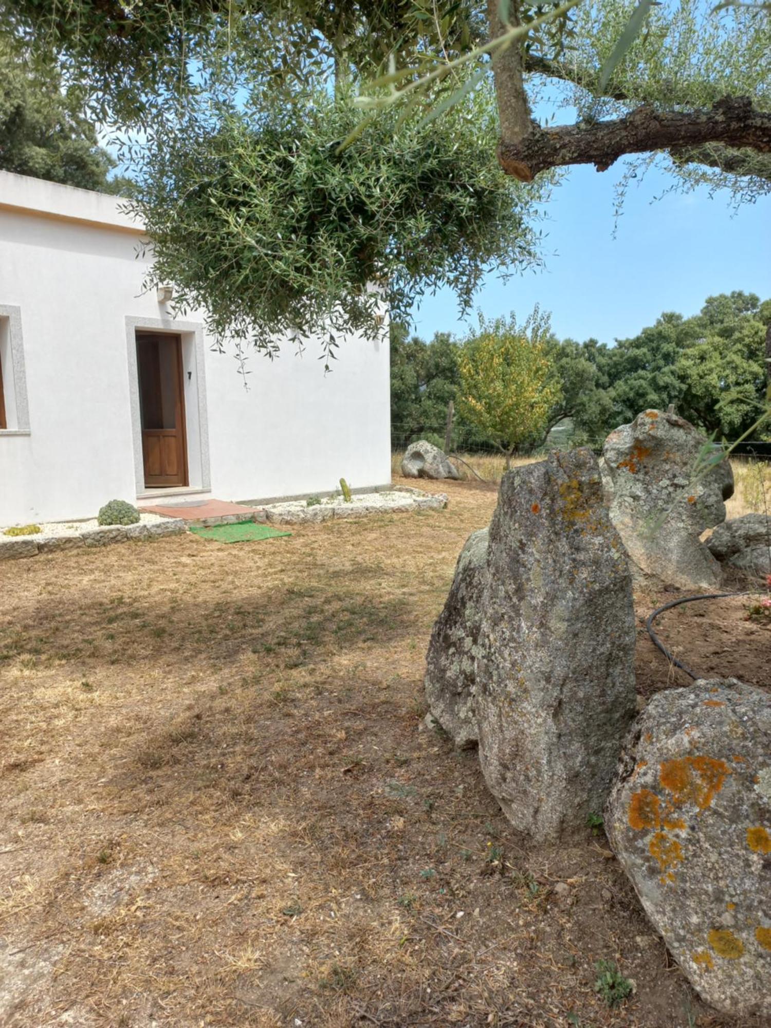 Chicchiritanos Bed & Breakfast Monti Екстериор снимка