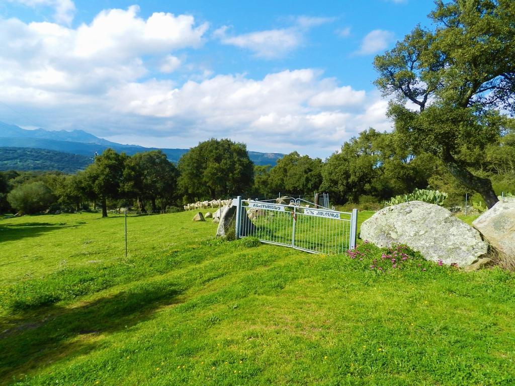 Chicchiritanos Bed & Breakfast Monti Екстериор снимка