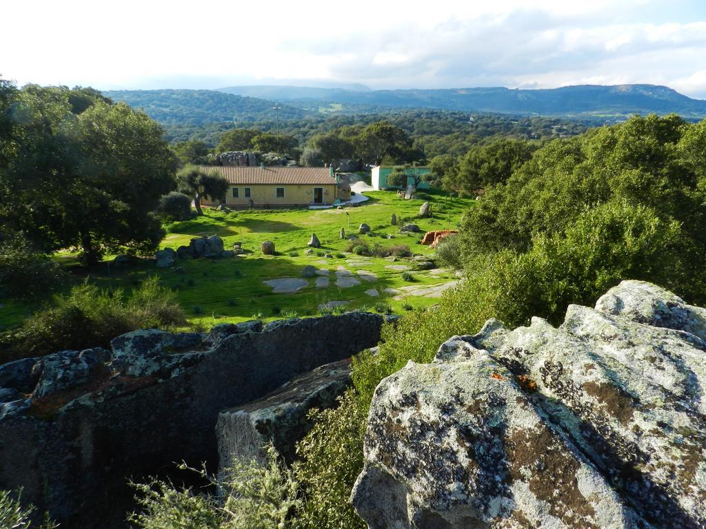 Chicchiritanos Bed & Breakfast Monti Екстериор снимка